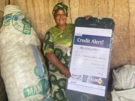 From Market Stall to Millionaire: How Fidelity Bank GAIM 6 Transformed My Life – Fufu Seller | Blissful Affairs Online