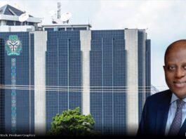 Nigeria’s “Era of Renewed Stability” and the Truths the CBN Chooses to Overlook | Blissful Affairs Online