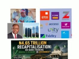 *N4.65Trn Recapitalisation: Are Banks Financing Nigeria’s Economy or Government?* | Blissful Affairs Online
