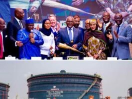 *Dangote’s People’s IPO and Petrol Prices the People Can’t Afford* | Blissful Affairs Online